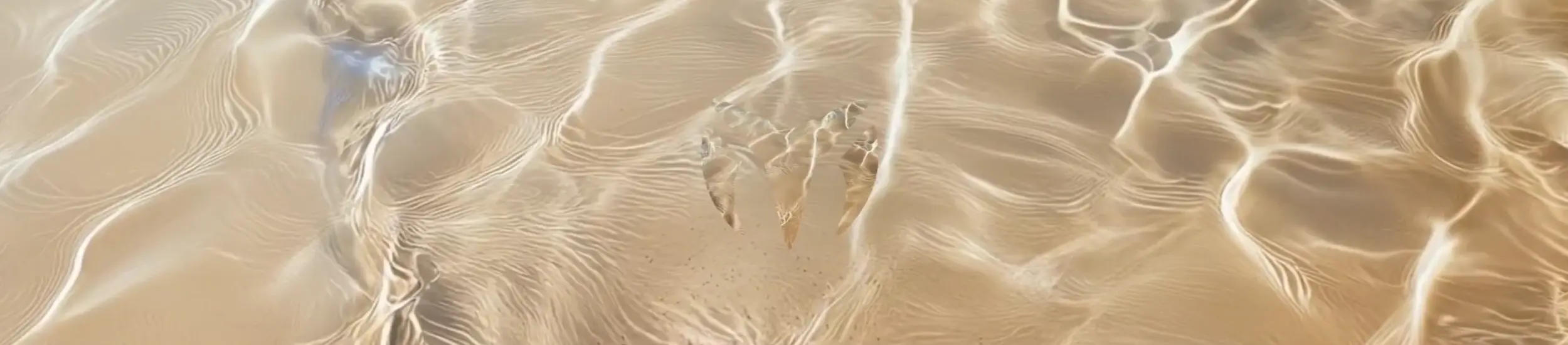 Dive into The Extraordinary